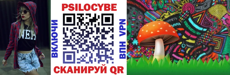 Псилоцибиновые грибы Psilocybine cubensis Ермолино
