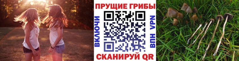 Галлюциногенные грибы ЛСД  дарк нет официальный сайт  Ермолино 